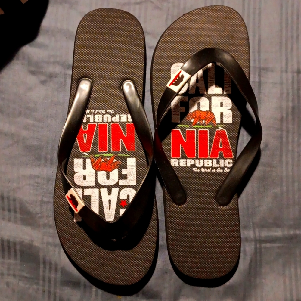 NWOTCali Republic Men's Flip Flops